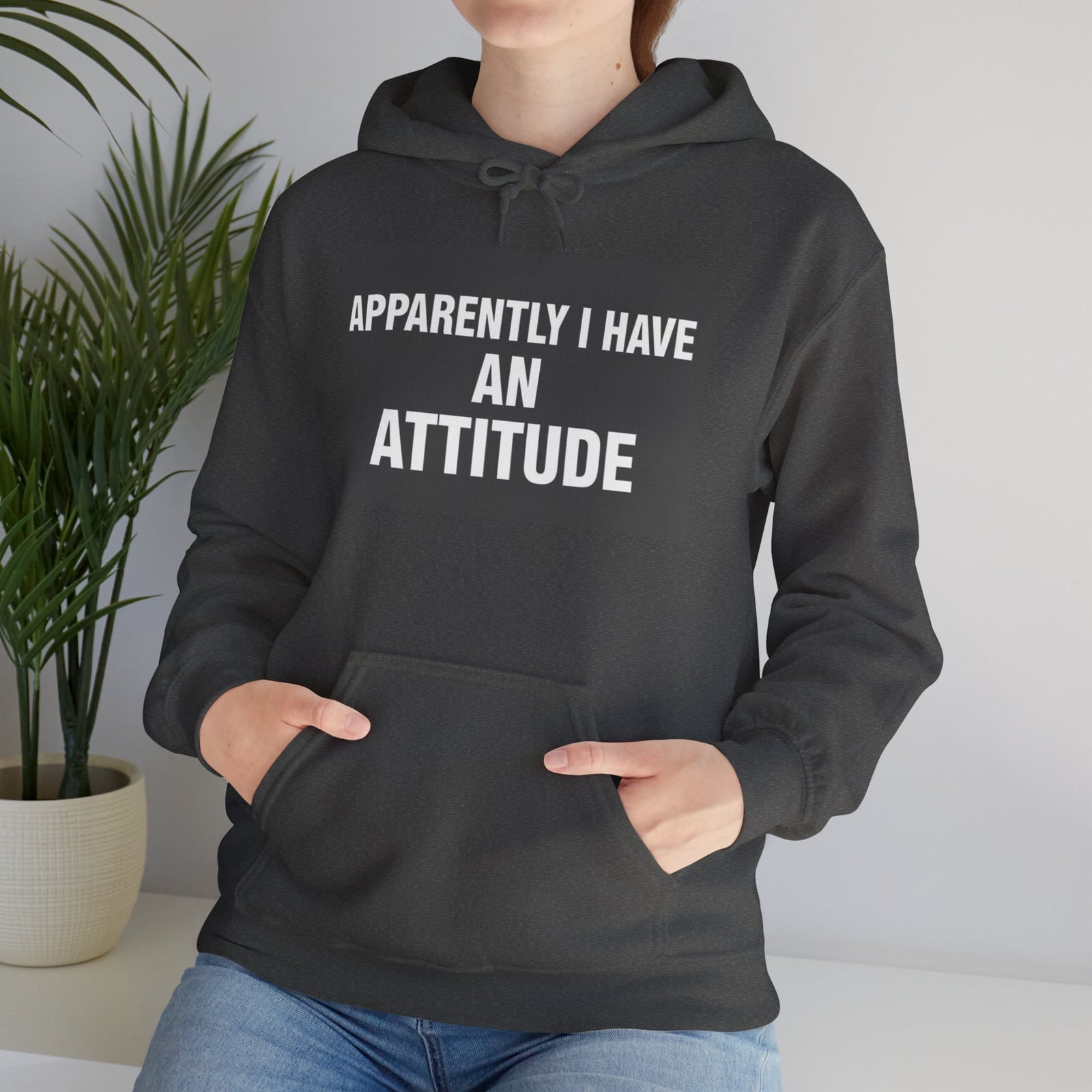 Attitude Statement Hoodie — "Apparently I Have An Attitude" Graphic Hoodie unisex